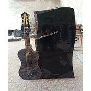 Lapide a forma di chitarra